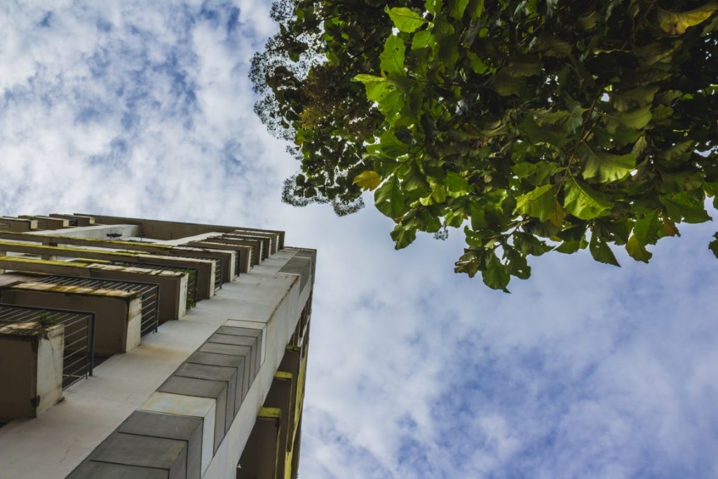 Cómo elegir el alcorque perfecto para tus proyectos paisajísticos